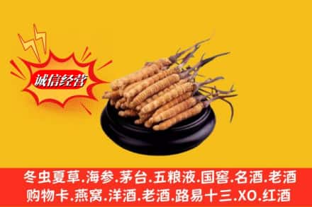 台江区求购回收虫草多少钱每克